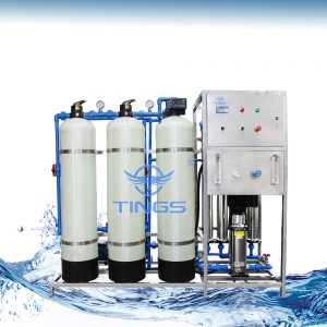 1000LPH RO Water Treatment Plant