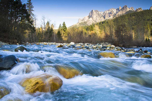 Spring on Castle Creek