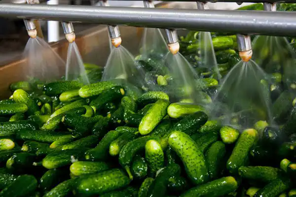 food processing industry